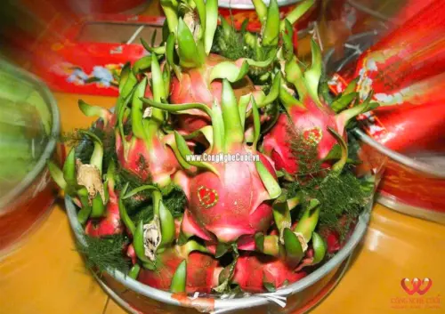 Tại sao Mâm Quả không thể thiếu trong ngày trọng đại?