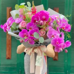 Ý nghĩa hoa lan hồ điệp – Vẻ đẹp sang trọng và may mắn