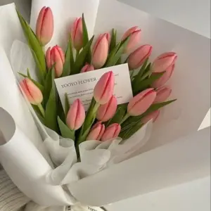 Cách Bảo Quản Hoa Tulip Tươi Lâu Và Đẹp Nhất