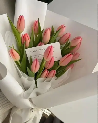 Cách Bảo Quản Hoa Tulip Tươi Lâu Và Đẹp Nhất