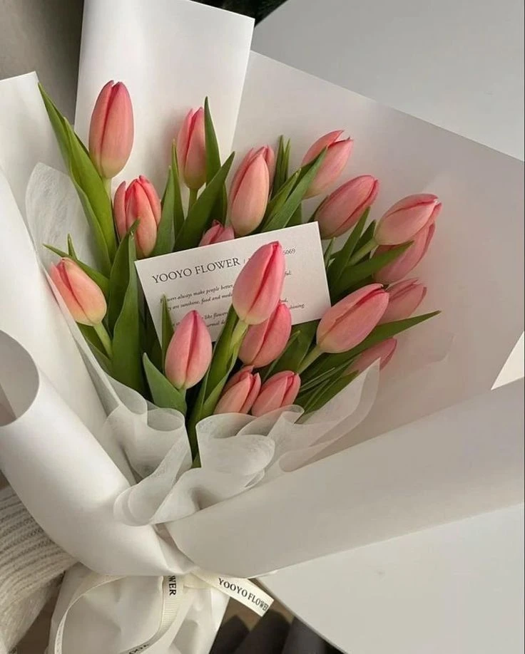 Cách Bảo Quản Hoa Tulip Tươi Lâu Và Đẹp Nhất