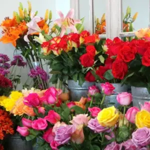 Mẹo Phân Biệt Hoa Tươi Và Hoa Lạnh Chính Xác Nhất