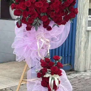 Lãng hoa khai trương đỏ ecudor