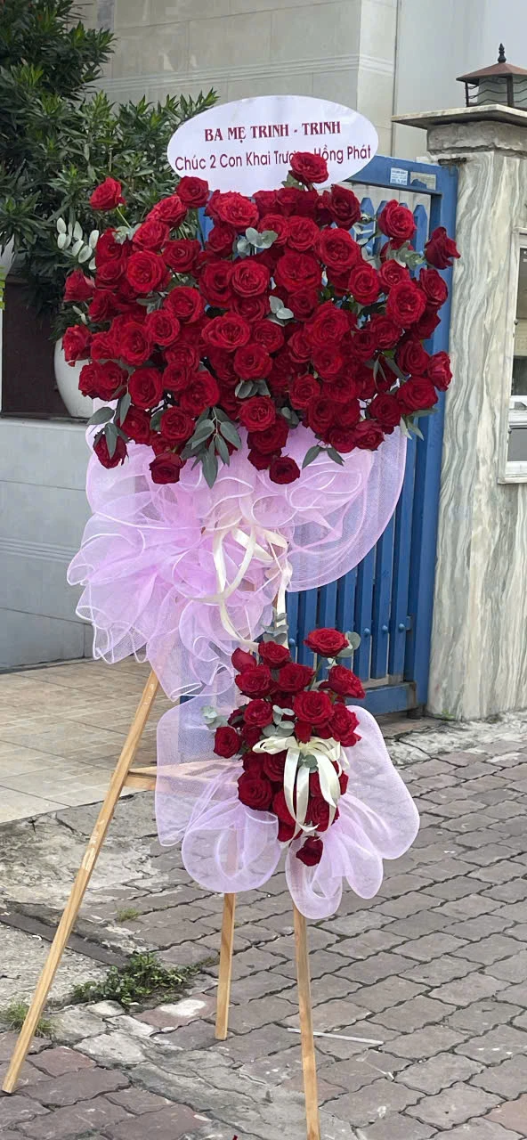Lãng hoa khai trương đỏ ecudor