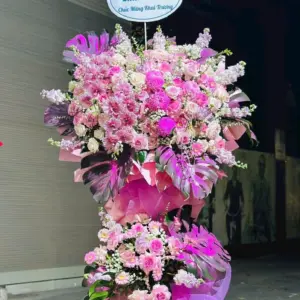 Lãng hoa khai trương VN20