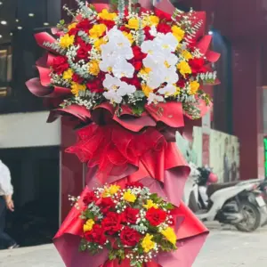 Lãng hoa khai trương VIP009