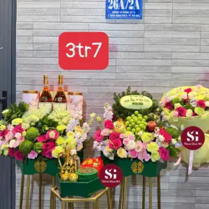 Tráp dạm ngõ tone xanh trắng+ rượu red label