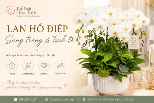 Góc Hoa & Những Câu Chuyện Đẹp