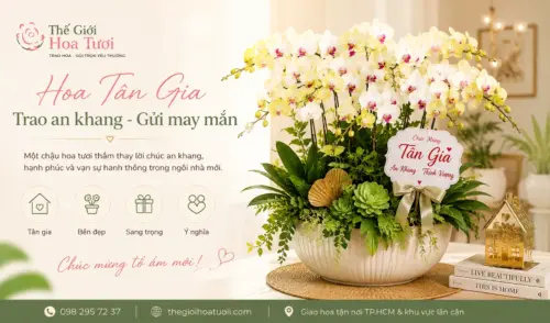 Góc Hoa & Những Câu Chuyện Đẹp
