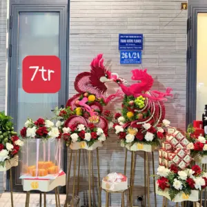 Set Rồng phụng 6 mâm mây vuông tone full đỏ